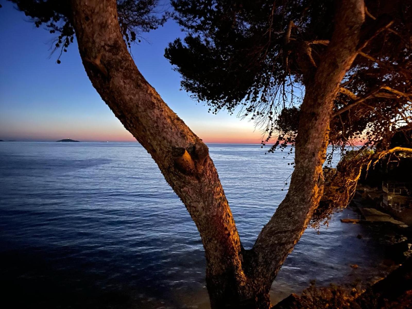 Vacances Bord De Mer - Appartement Sanary Sur Mer ภายนอก รูปภาพ